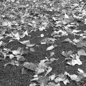 Meet your Posher, Aubree